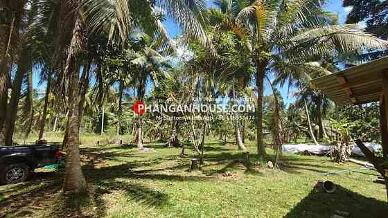 Land for Rent: 3 Rai in Ban Tai, Koh Phangan Панган