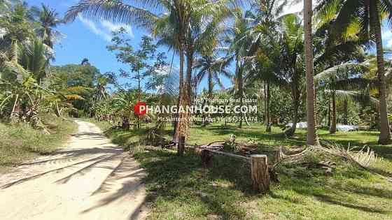 Land for Rent: 3 Rai in Ban Tai, Koh Phangan Панган