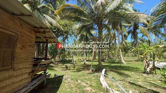 Land for Rent: 3 Rai in Ban Tai, Koh Phangan Панган