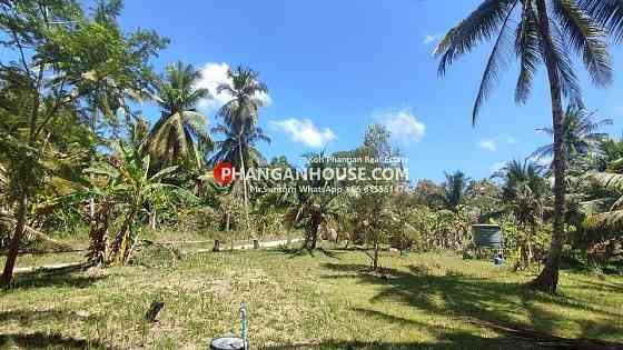 Land for Rent: 3 Rai in Ban Tai, Koh Phangan พะงัน