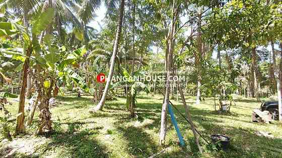 Land for Rent: 3 Rai in Ban Tai, Koh Phangan พะงัน