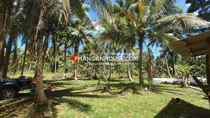 Land for Rent: 3 Rai in Ban Tai, Koh Phangan Phangan - photo 5