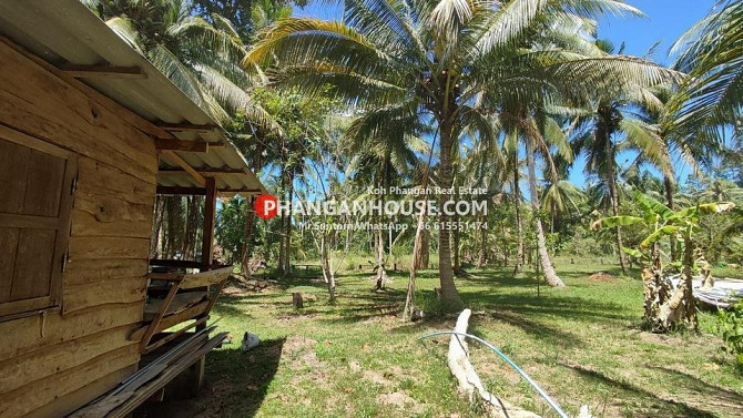 Land for Rent: 3 Rai in Ban Tai, Koh Phangan Phangan - photo 4