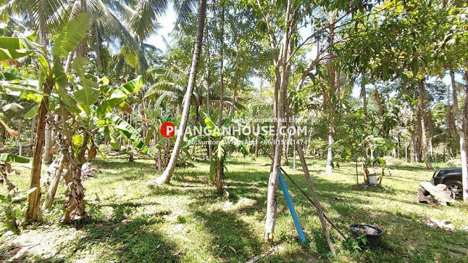 Land for Rent: 3 Rai in Ban Tai, Koh Phangan Phangan - photo 1