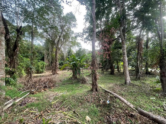 Terrain à vendre (Publication du propriétaire) Phangan – photo 7